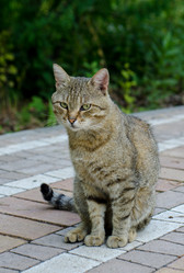 Similar image 21514993