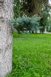 Similar image 21516836