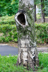 Similar image 21516838