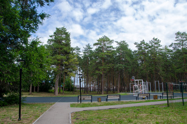 Similar image 21516839