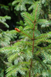 Similar image 21516840