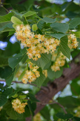 Similar image 21516841