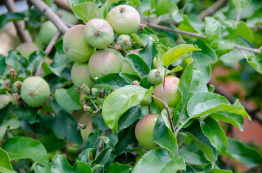 Similar image 21516842