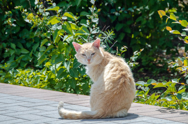 Similar image 21514997