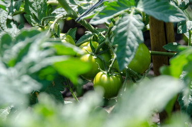 Similar image 21516844