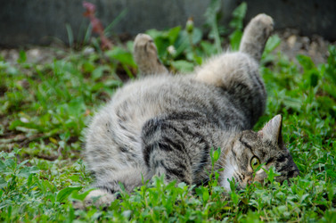 Similar image 21514999