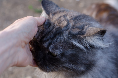 Similar image 21515000