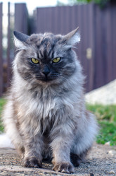 Similar image 21515001