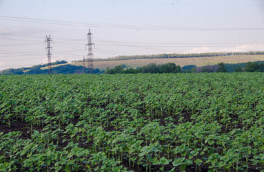 Similar image 21516847