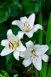 Similar image 21516515