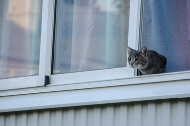 Similar image 21516516