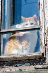 Similar image 21515004