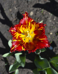 Similar image 21506023