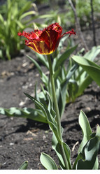 Similar image 21506024