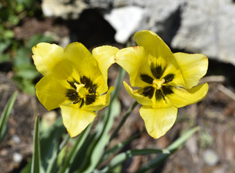 Similar image 21506026