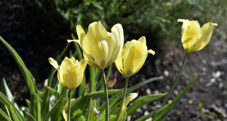 Similar image 21506027