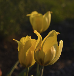 Similar image 21506028