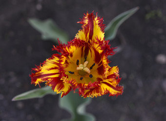 Similar image 21506031