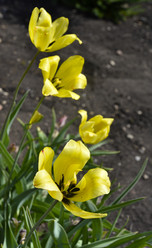 Similar image 21506032