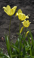 Similar image 21506033