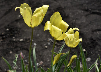 Similar image 21506034