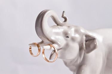 Similar image 21508255