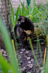 Similar image 21515006