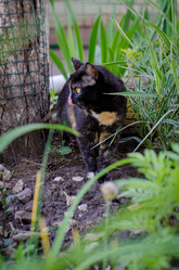 Similar image 21515007