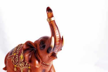 Similar image 21508623