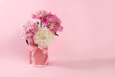 Similar image 21506239