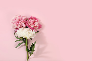 Similar image 21506240