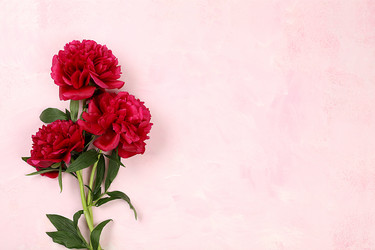 Similar image 21506246