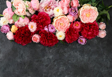 Similar image 21506247