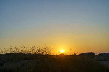 Similar image 21510383