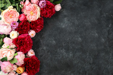 Similar image 21506394