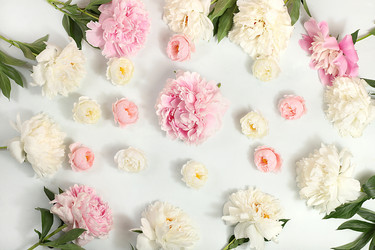 Similar image 21506398