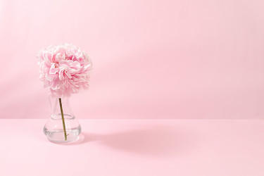 Similar image 21506401