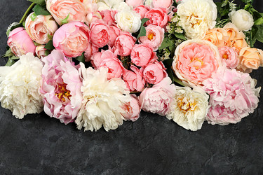 Similar image 21506402