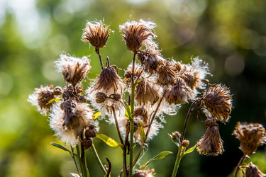 Similar image 21519568