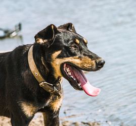 Similar image 21519570