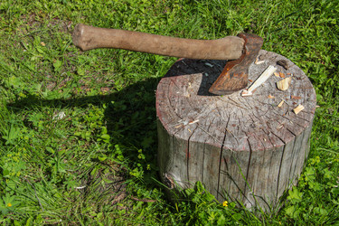 Similar image 21506418