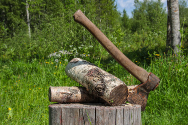 Similar image 21506421