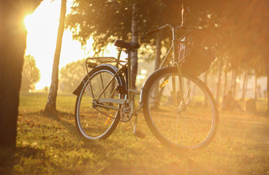 Similar image 21519839