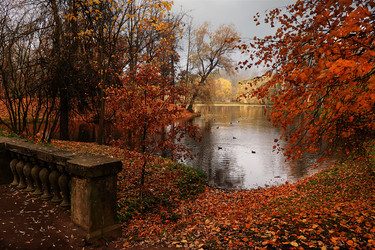 Similar image 21506482