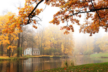 Similar image 21506516