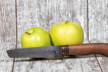 Similar image 21506619