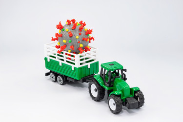 Similar image 21506835