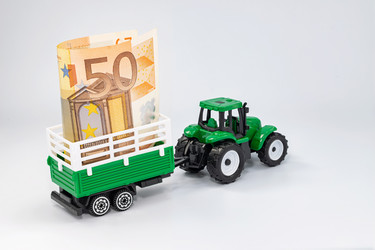 Similar image 21506711