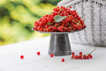 Similar image 21511034