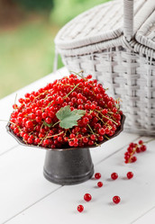 Similar image 21511035